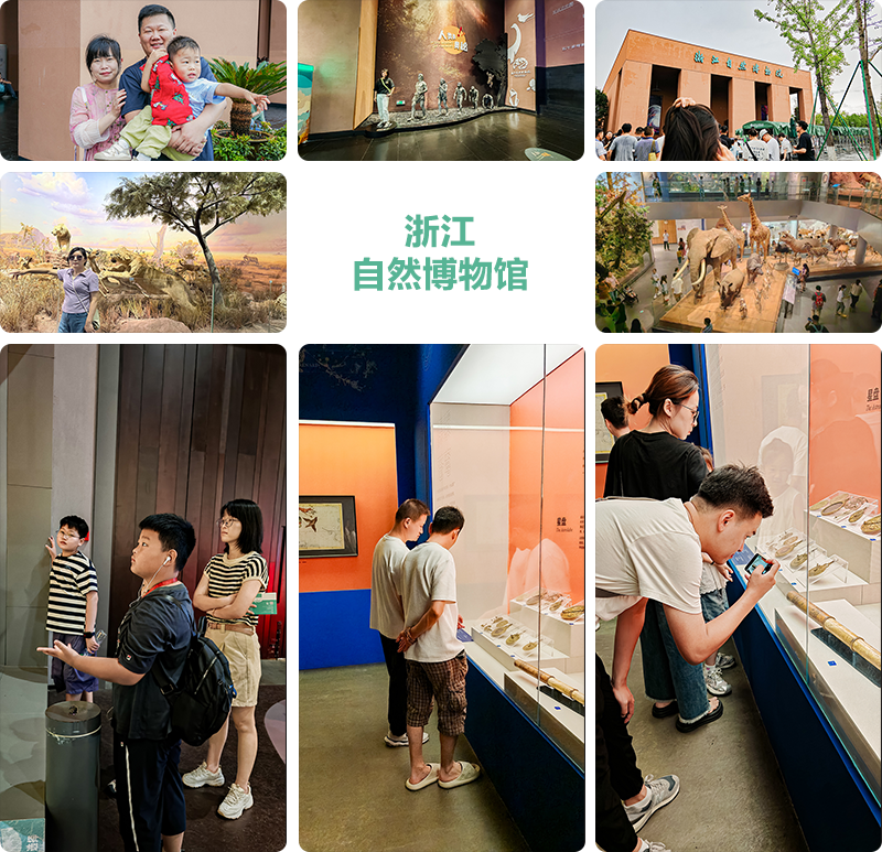 1754034116910720.png 12.png