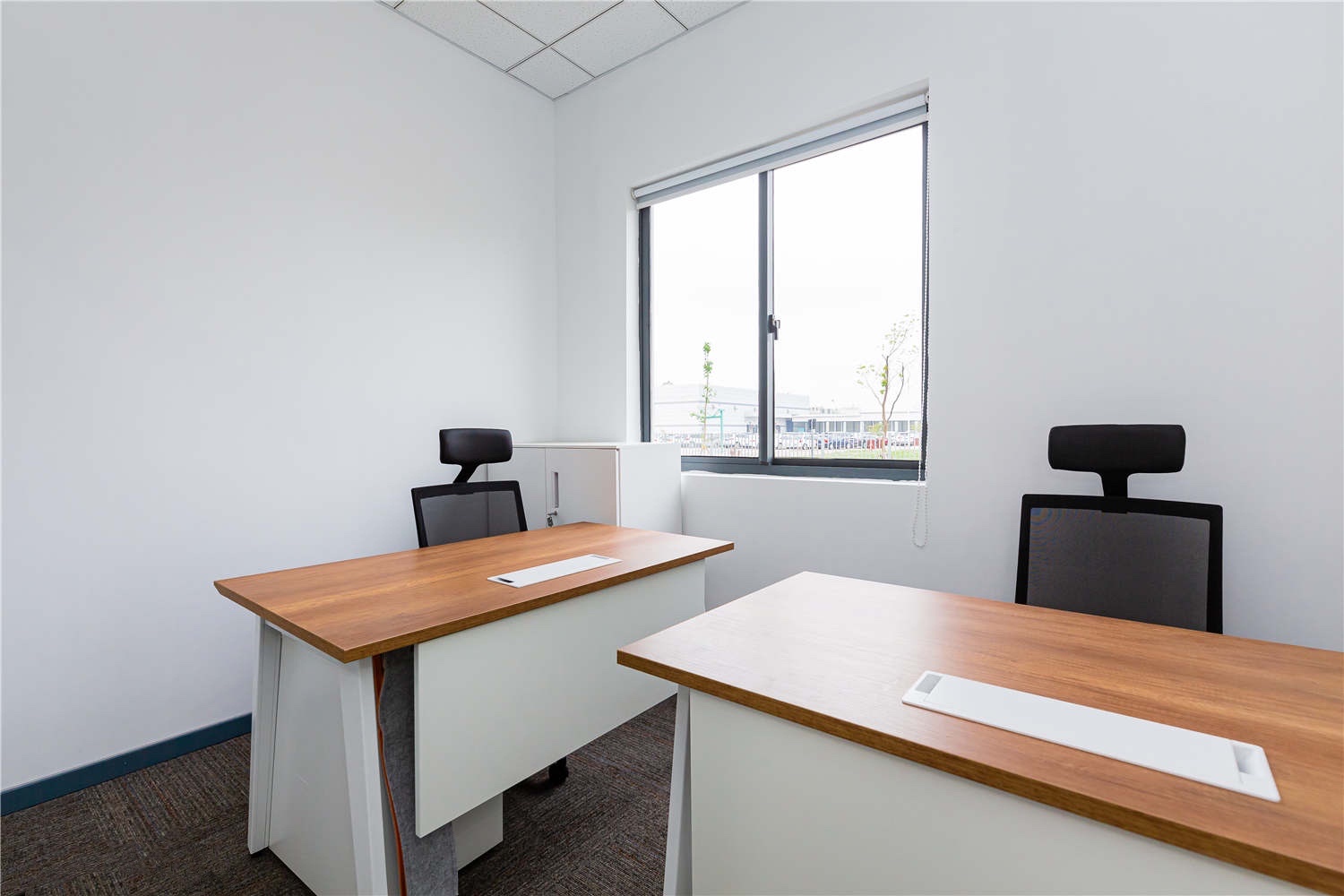 1775197186703941.jpg 1775197186703941.jpg