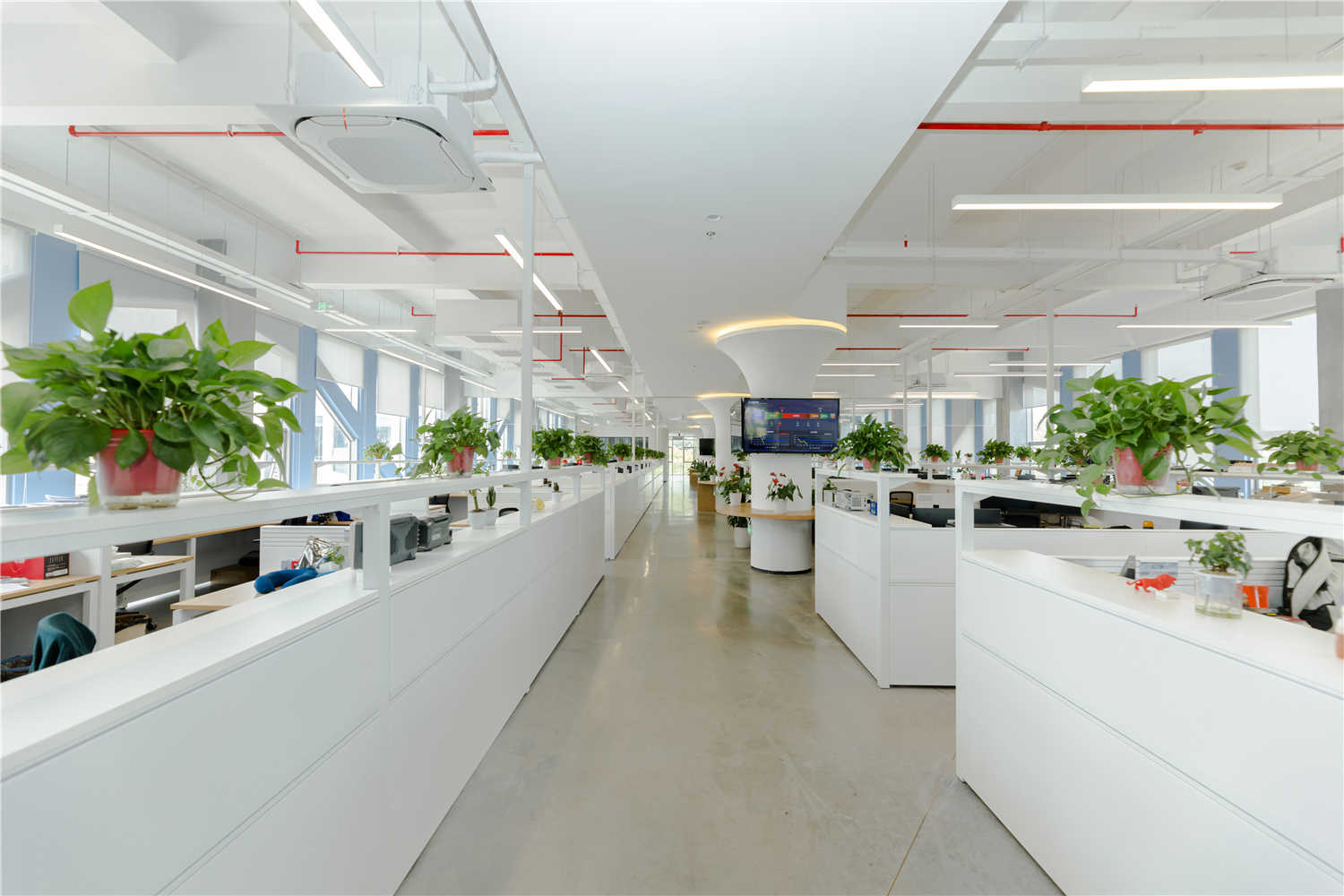 1775198068963607.jpg 1775198068963607.jpg